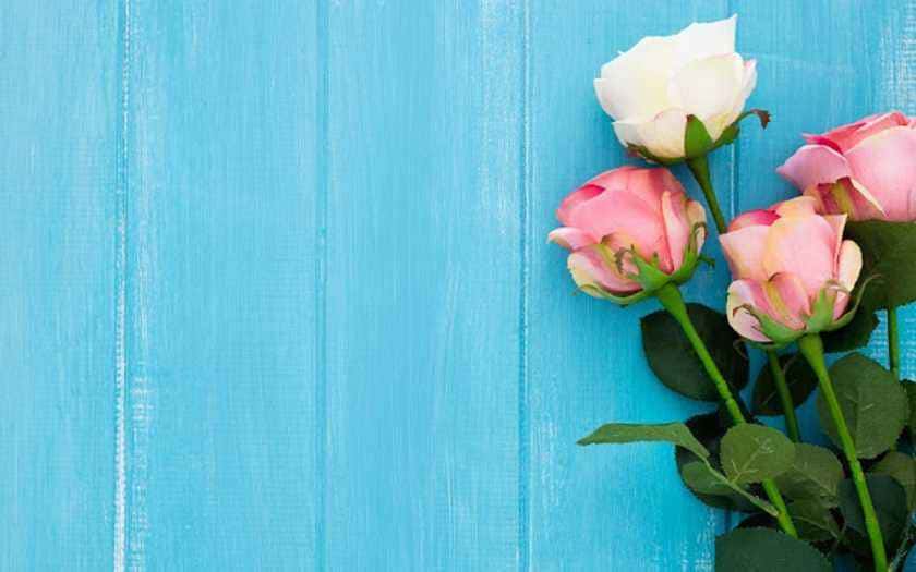 Presentear com flores melhores buquês