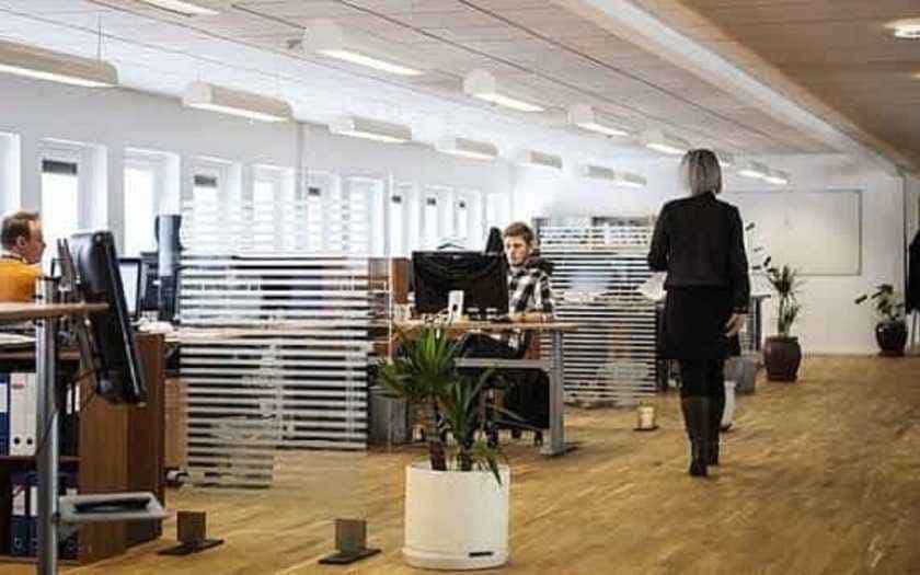 Qual a importância da diversidade dentro de uma empresa
