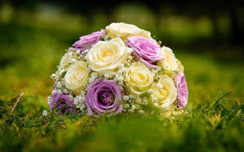 As melhores opções de flores e ideias diferentes para buquês