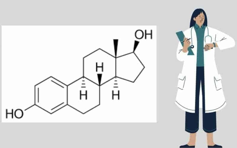 estradiol 17b
