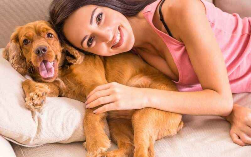 Há cada vez mais pais e mães de pet