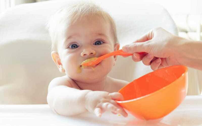 Aprenda como preparar um cardápio para bebê de 6 meses