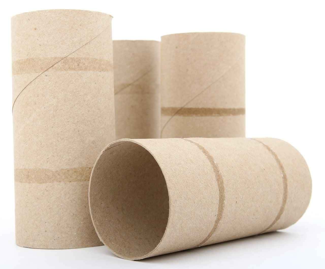 Comecei a guardar o rolo de papel higiênico USADO e olha o que aconteceu