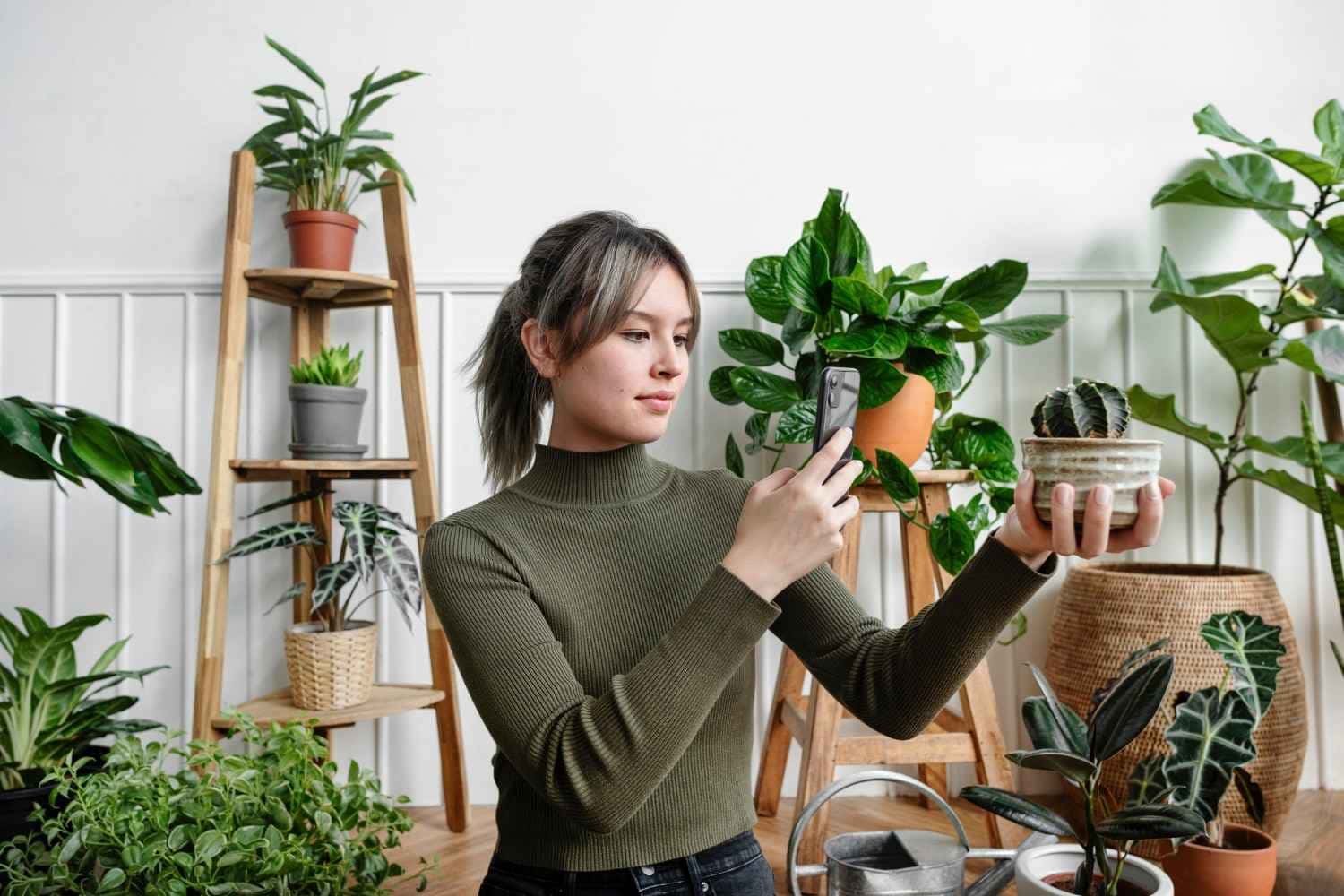 LOUCA DAS PLANTAS como ganhar dinheiro com elas