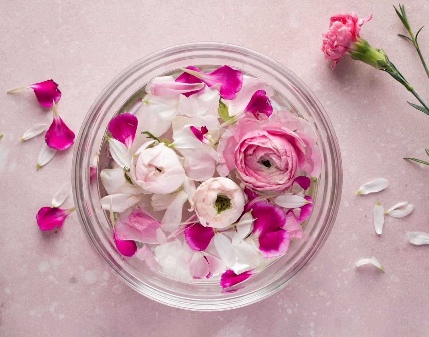 Leite de rosas aprenda a usar para deixar sua casa CHEIROSA
