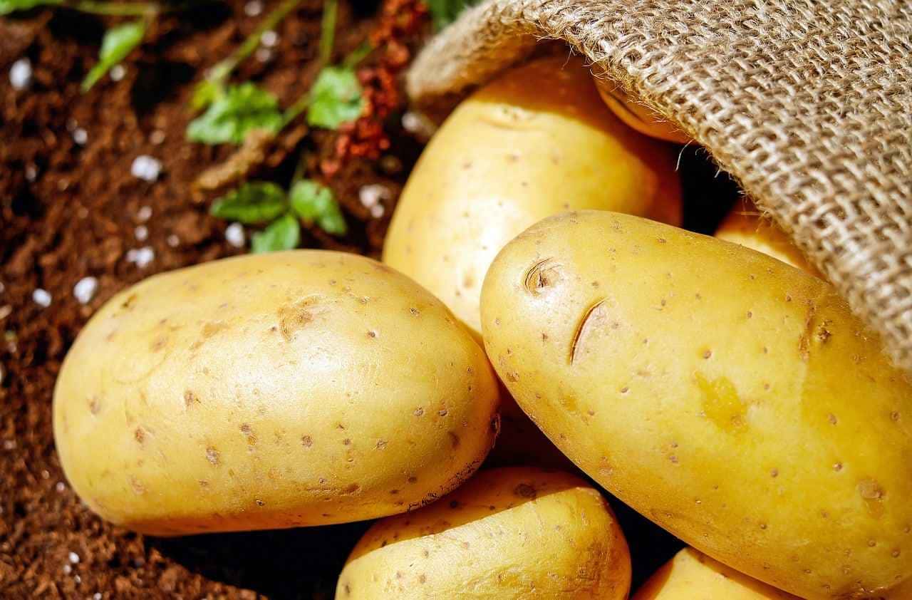O segredo revelado por que passar batata na porta da sua casa