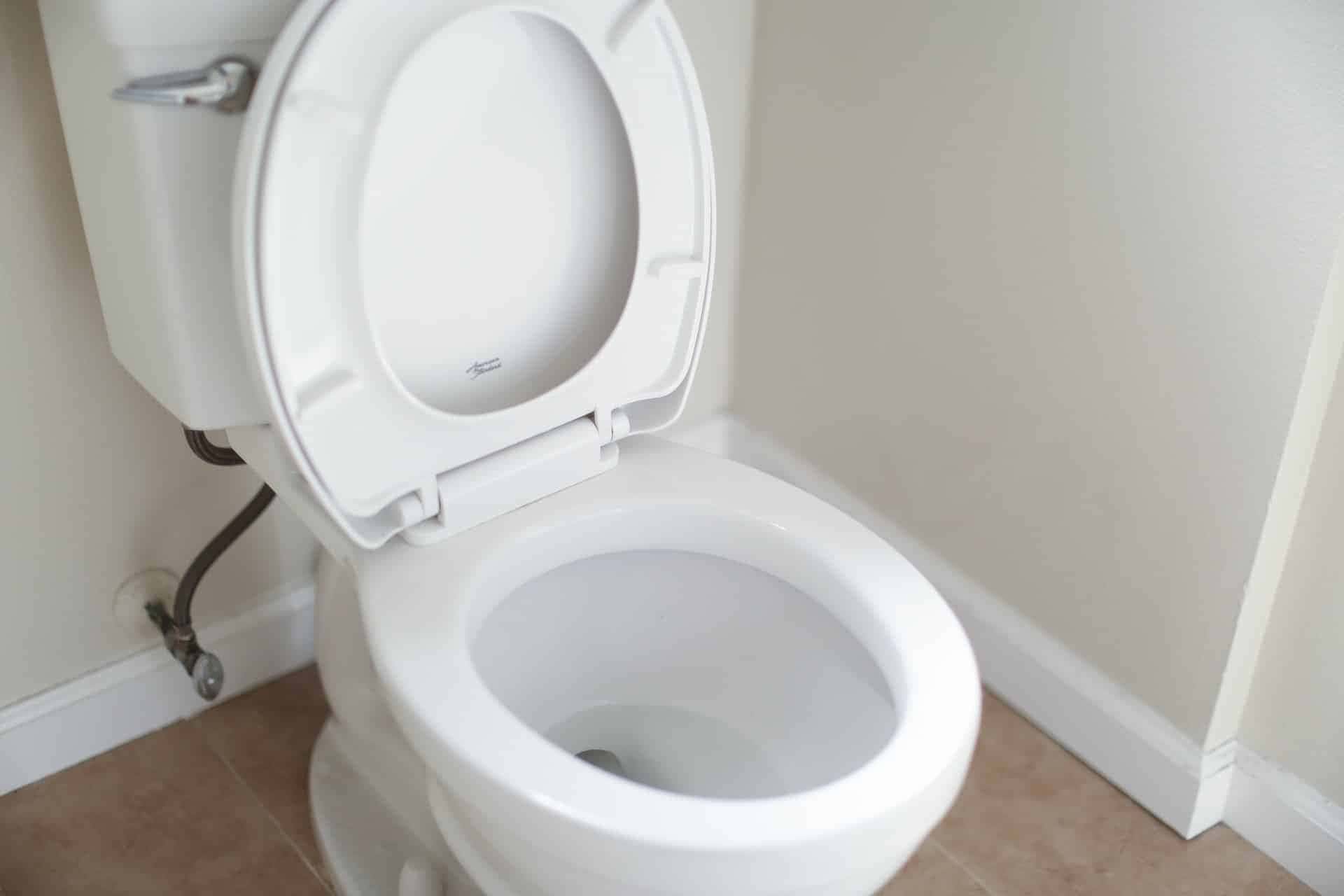 Truque do pano com vinagre no vaso sanitário; entenda para que serve
