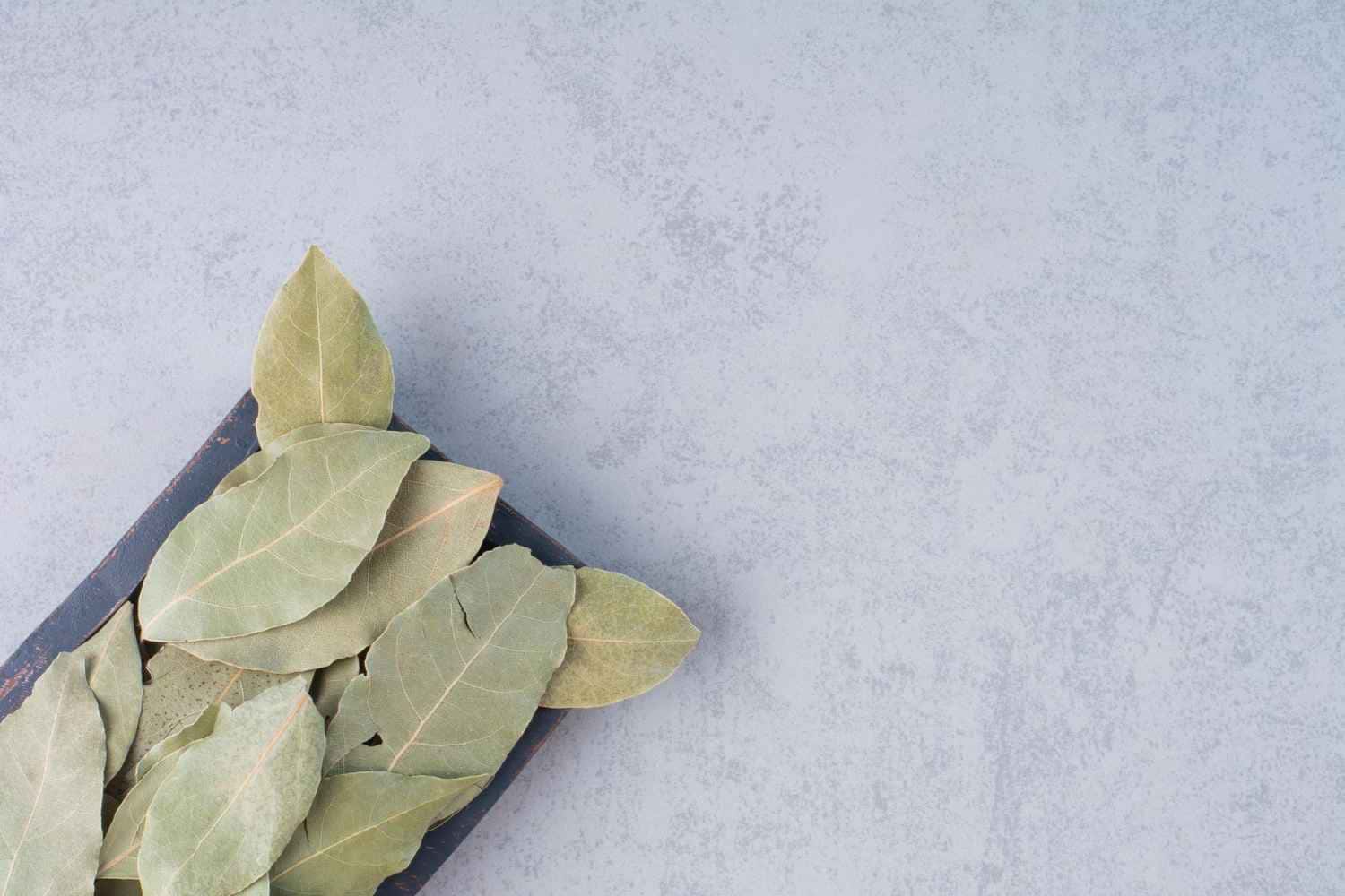 Feng Shui para atrair dinheiro coloque esta folha em sua carteira