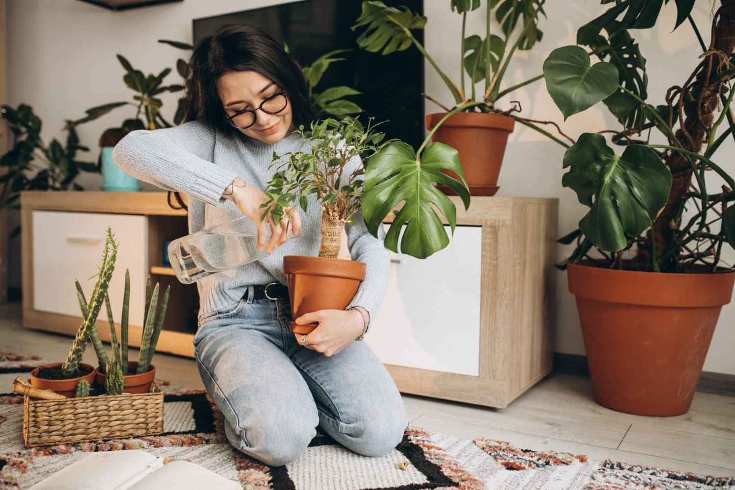 Flores o ano inteiro 12 dicas para florir suas plantas em casa