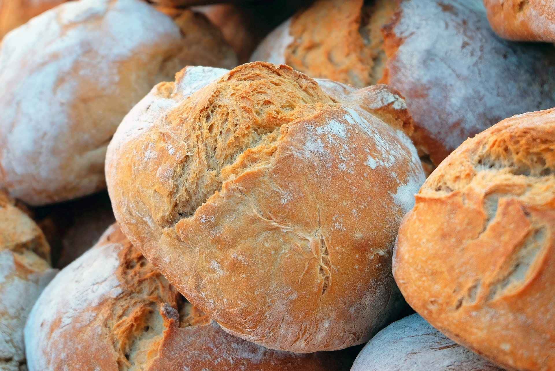 Confira técnicas para tornar o pão velho novo de novo.