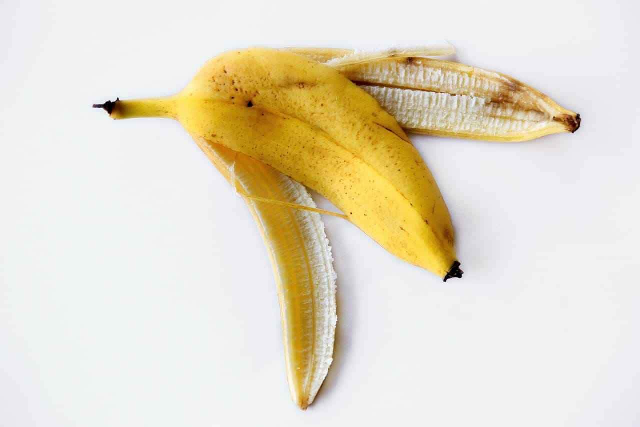Descubra o potencial esquecido: cascas de banana, da jardinagem à estética revelam-se como uma solução sustentável e versátil.