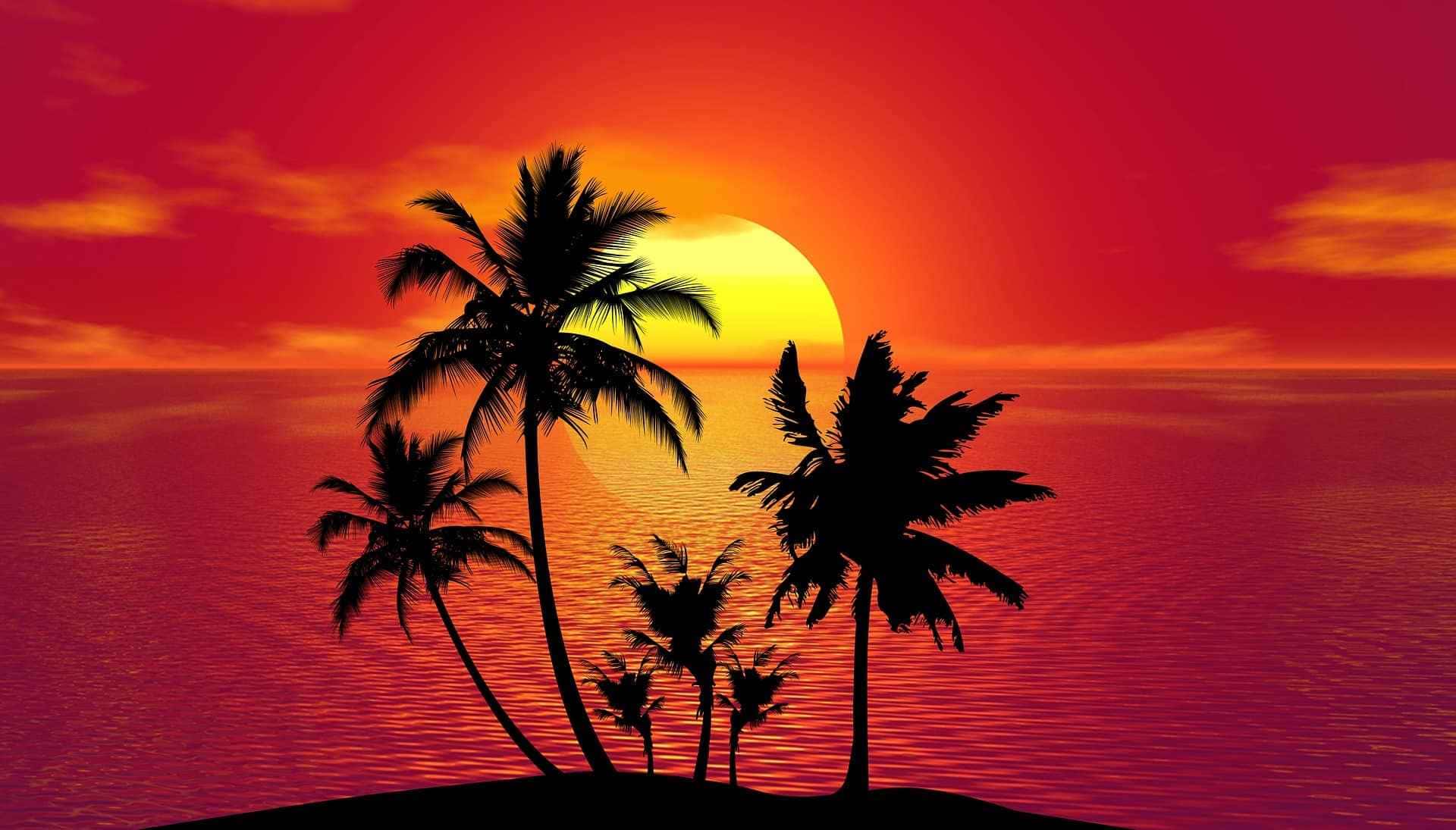 Dicas de acessórios para o verão 2024.