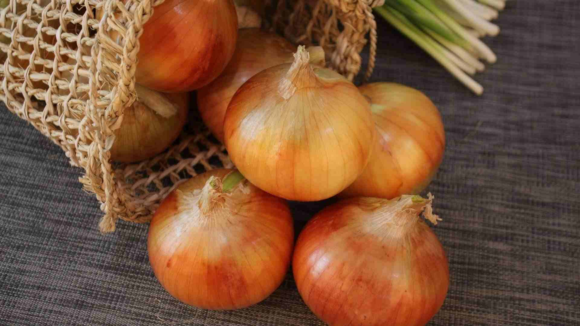 Mancha na cebola é sinal de alerta? Entenda
