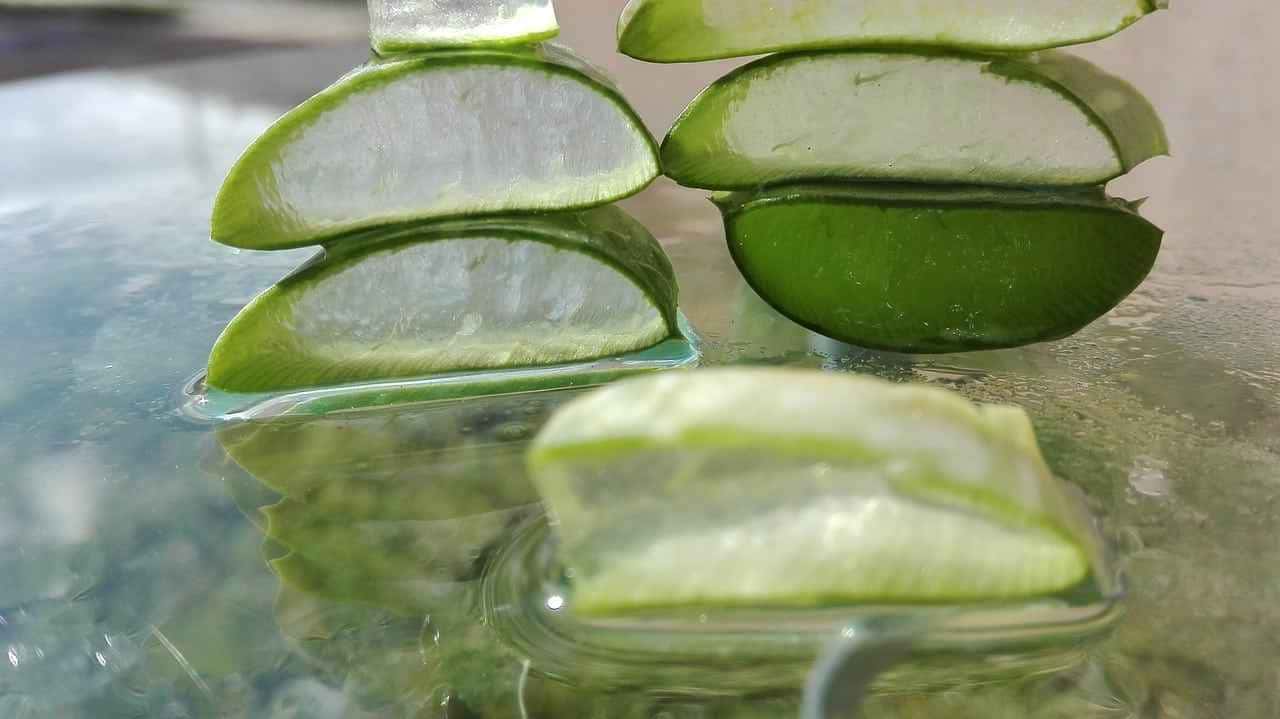 O gel de aloe vera tem sido cada vez mais valorizado como um "segredo" para criar um botox caseiro. Confira agora!