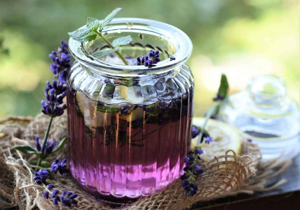 Cheiro indesejado? Conheça segredos para deixar sua casa perfumada o tempo todo!