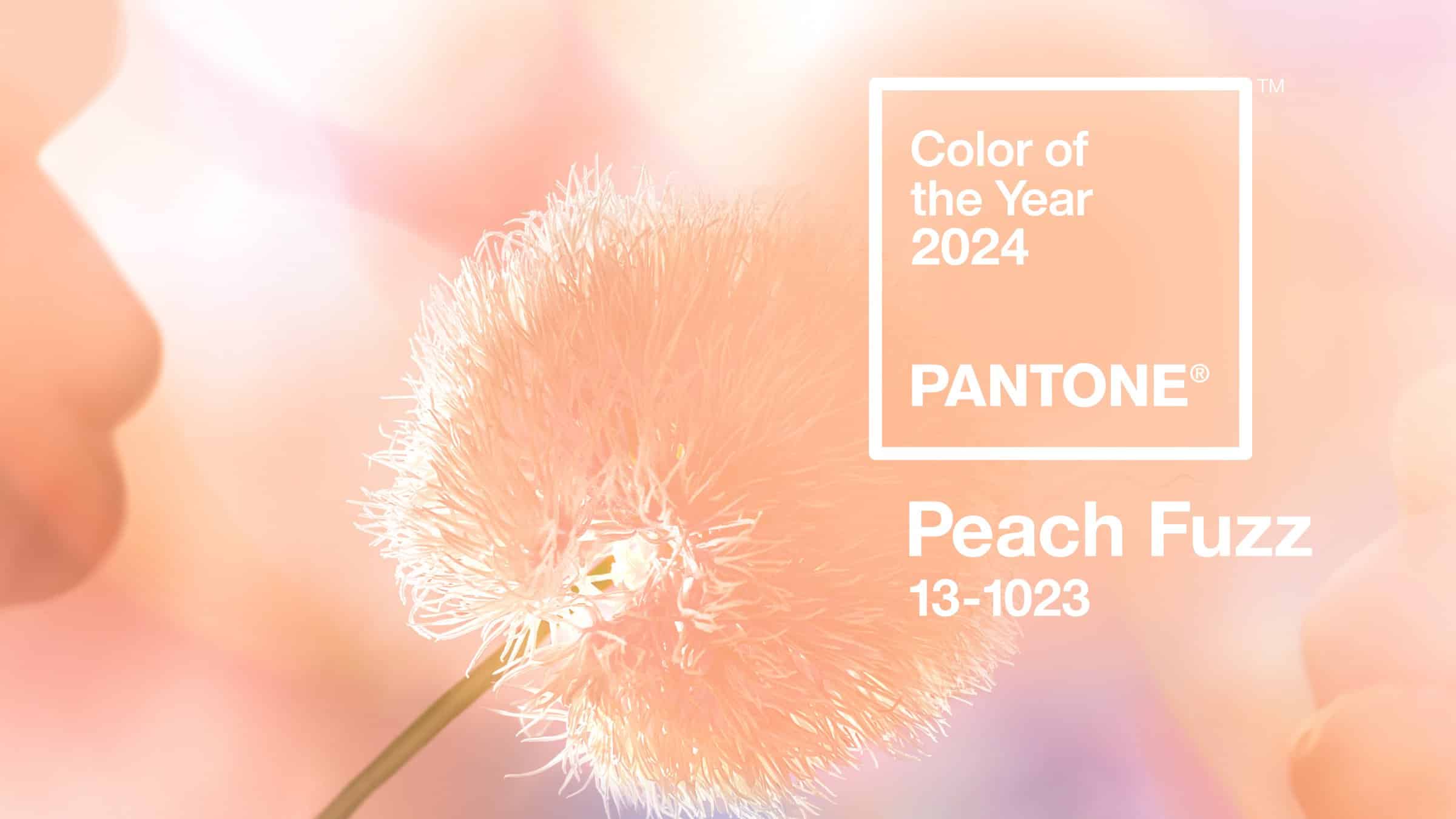 A Pantone, renomada autoridade em cores, anunciou que o Peach Fuzz 13-1023 será a cor dominante em 2024.