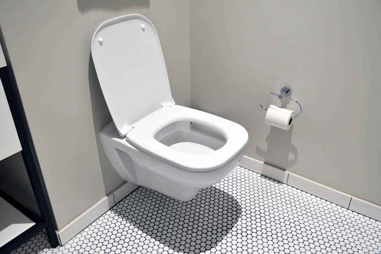 A inovadora prática do copo vermelho no vaso sanitário. Descubra como esse hábito pode transformar a limpeza diária em um ambiente compartilhado.