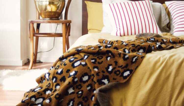 Desvende os segredos da decoração com Animal Print: 6 truques essenciais para transformar sua casa!