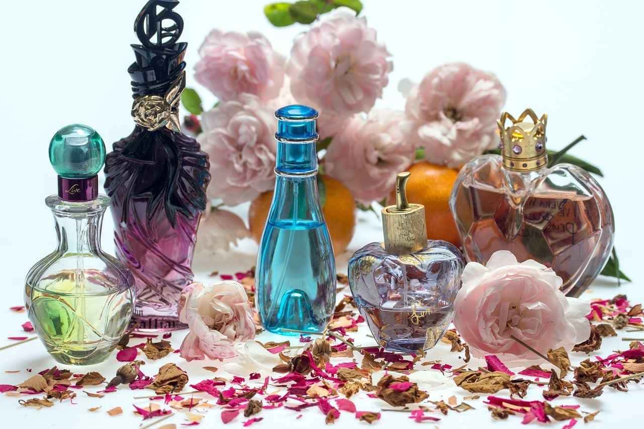 Descubra os segredos das 5 fragrâncias perfeitas para o seu Outono!