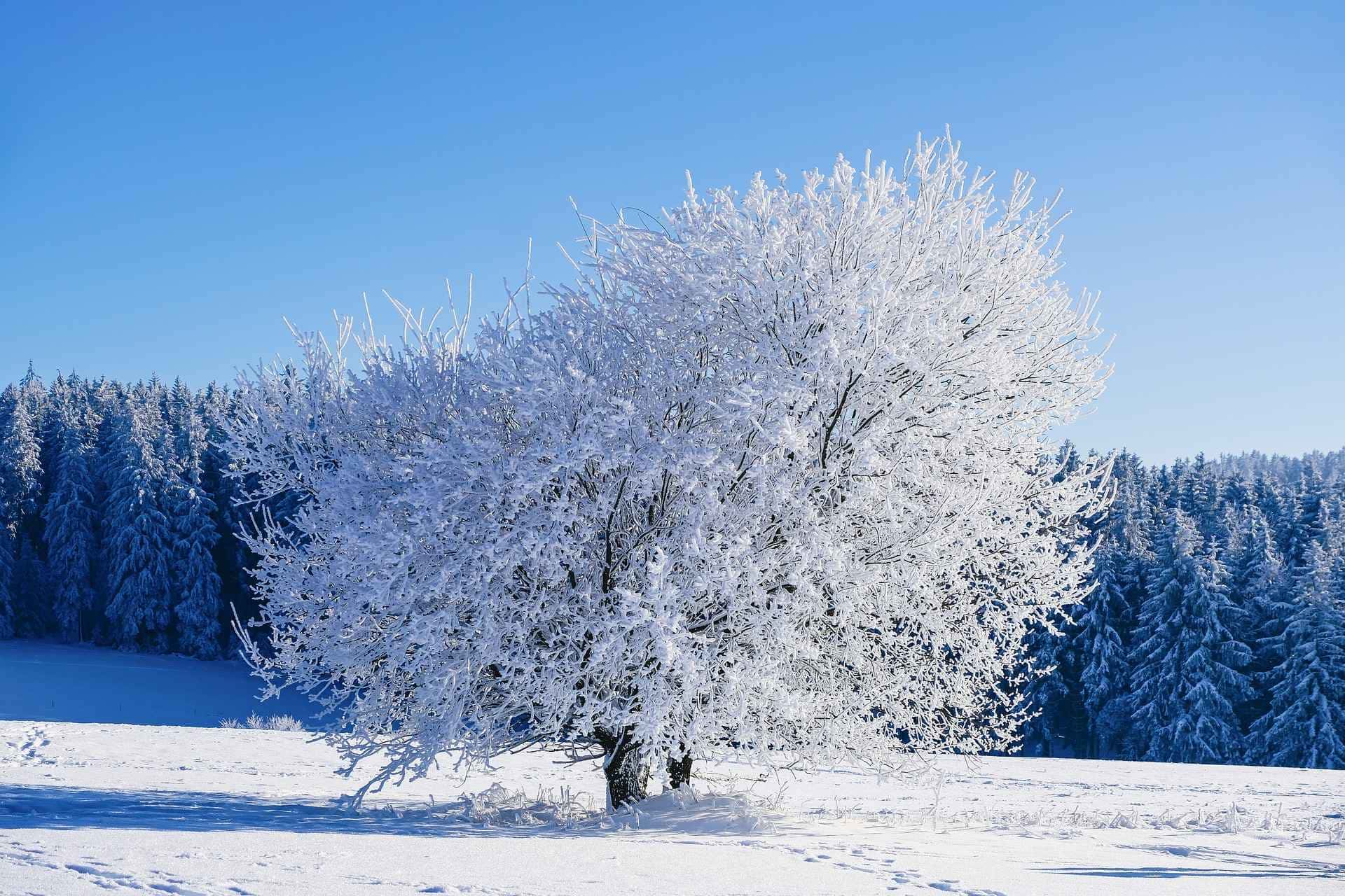 Confira como é viver em Yakutsk.