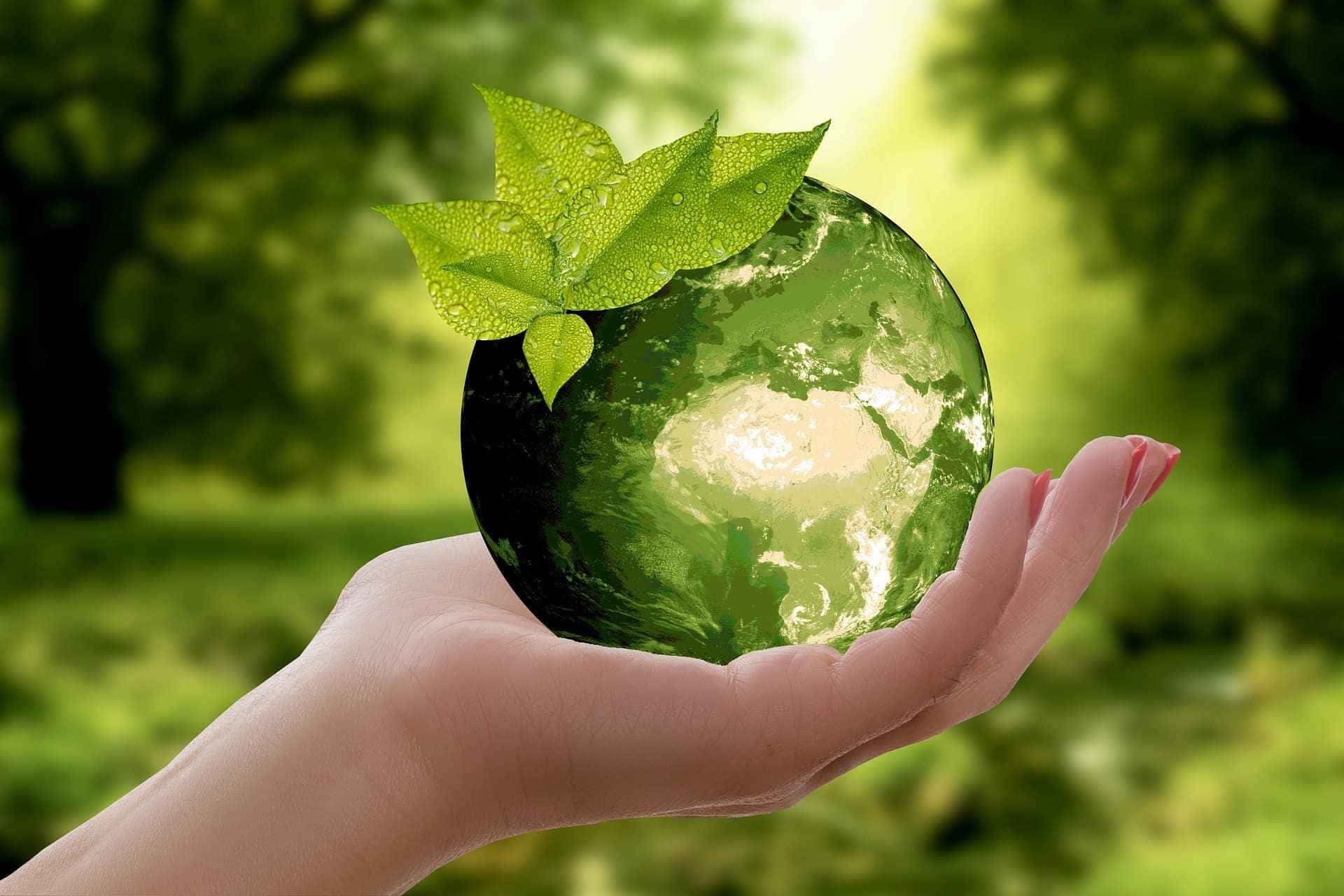 Confira dicas de como reciclar.