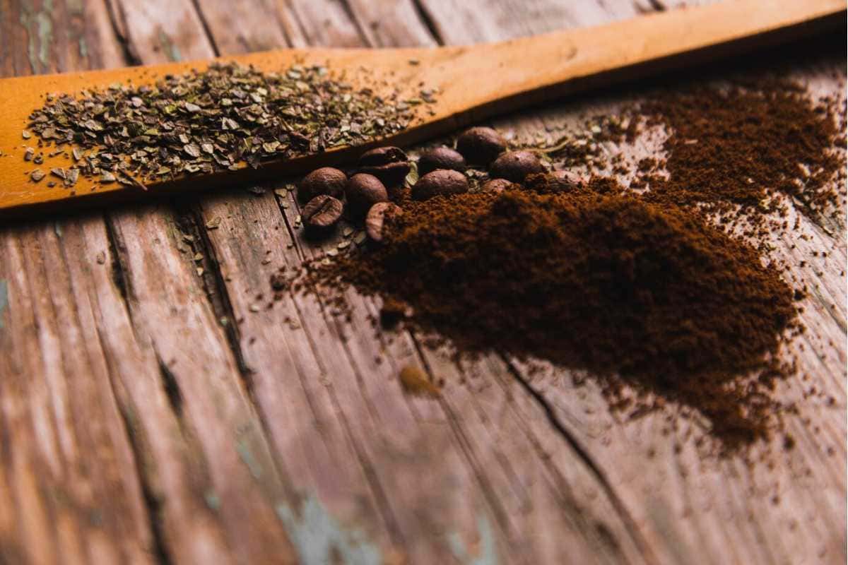 Queimar café em casa: entenda os benefícios para a sua rotina