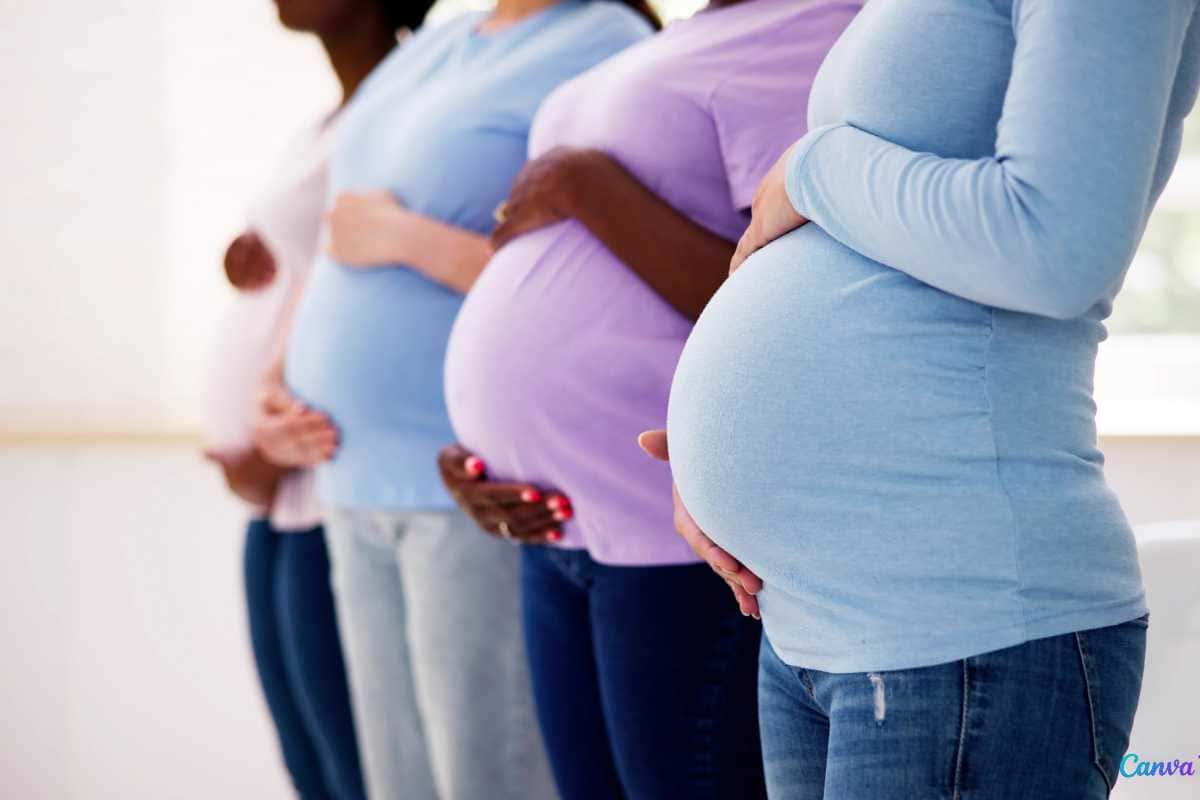 Benefícios Concedidos e Impactos Sociais