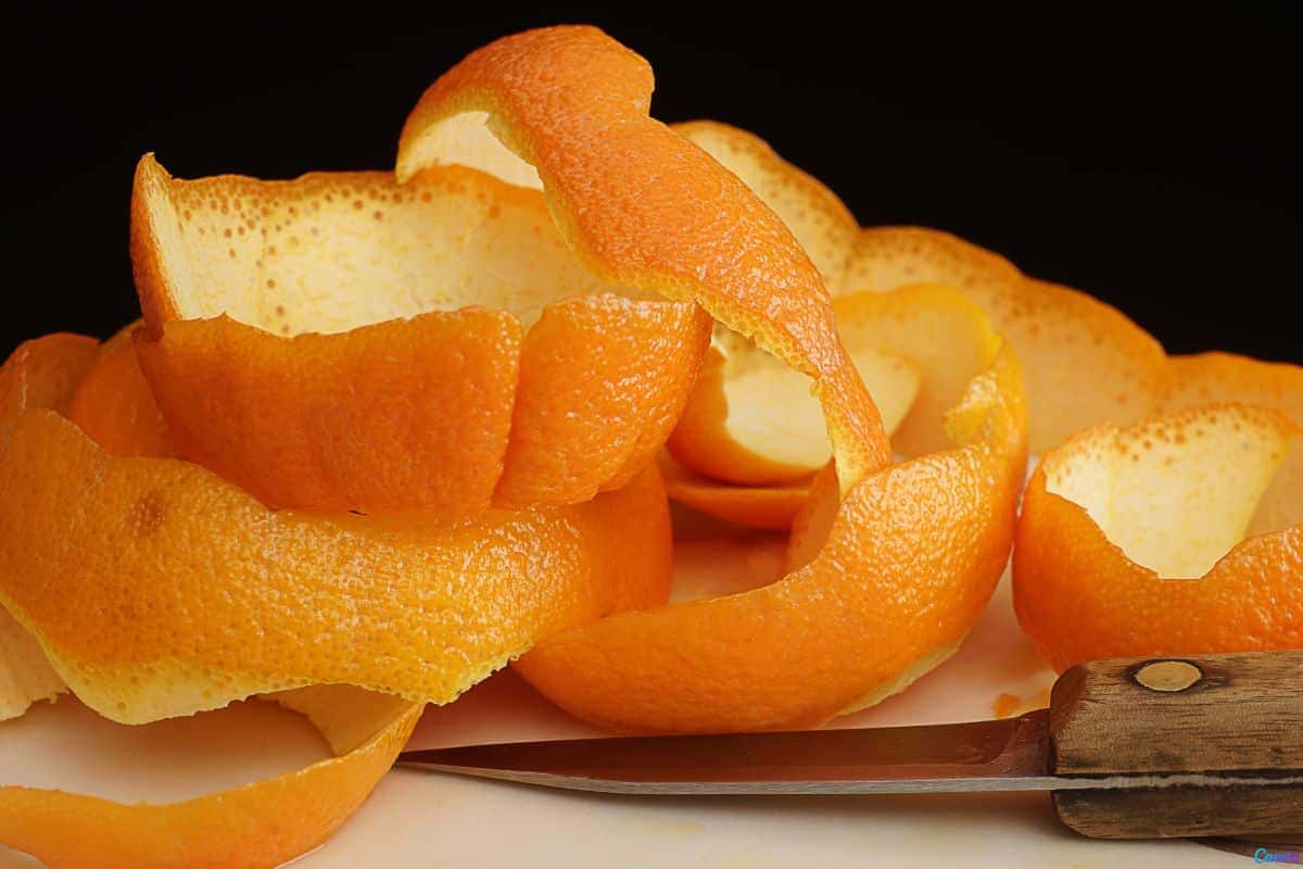 Cascas de laranja: como transformar esse ‘lixo’ em um verdadeiro aliado na casa