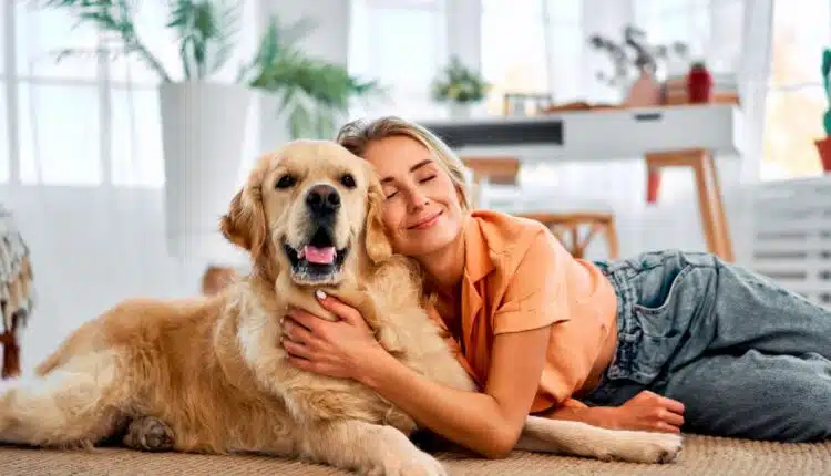 Como ter a casa limpa mesmo com pets