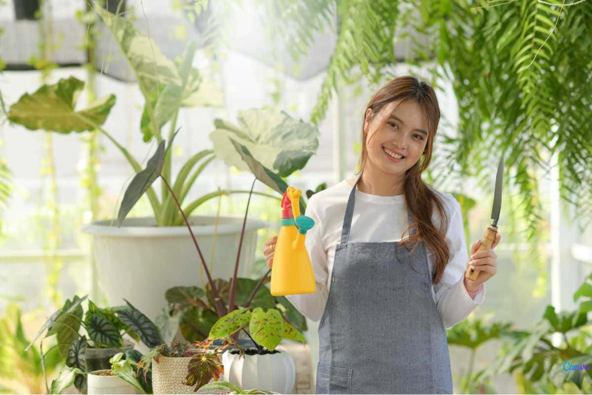 Cuidados e Manutenção das Plantas