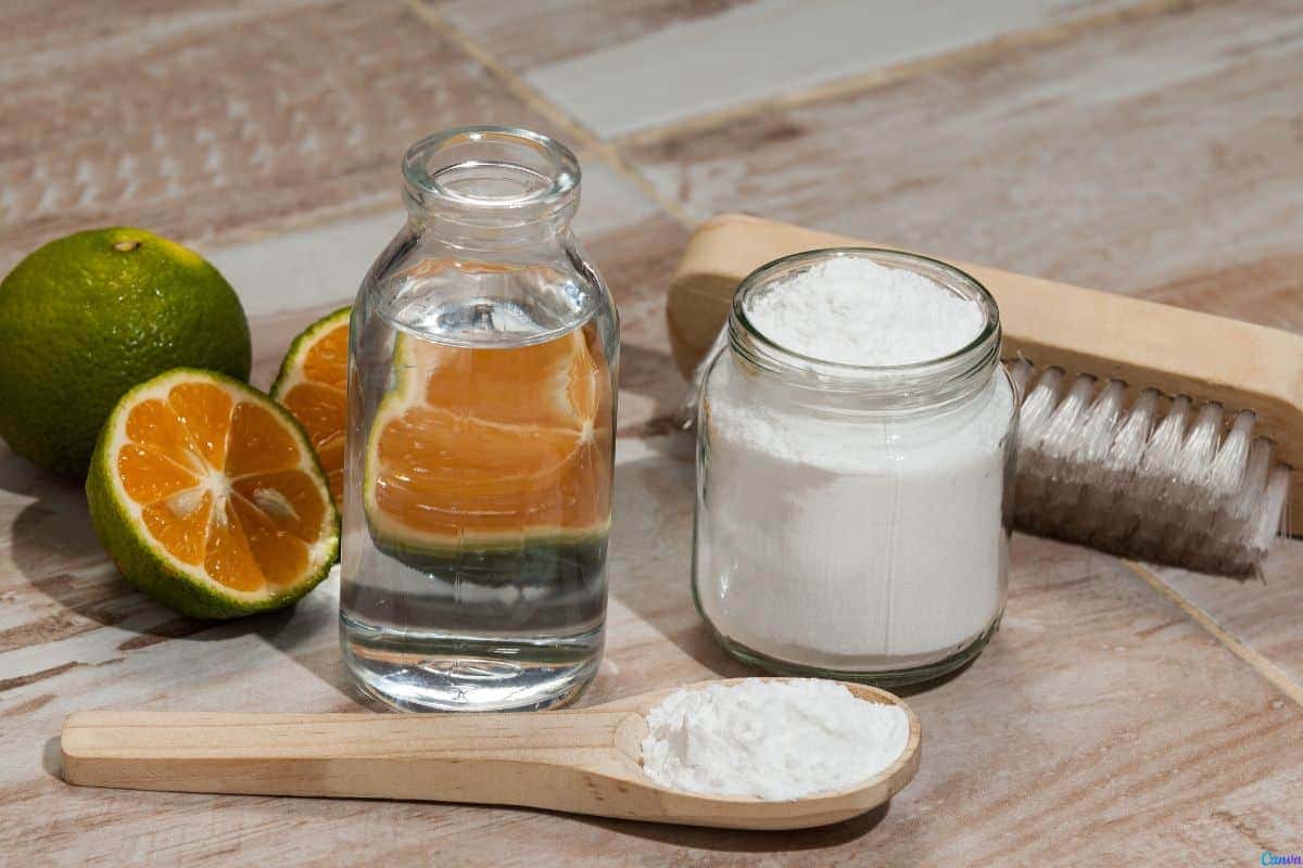 Erros comuns ao usar bicarbonato de sódio na limpeza – veja onde evitar e como utilizar corretamente este produto