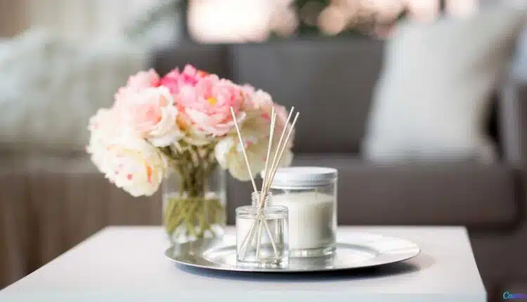 Este truque simples vai deixar sua casa sempre perfumada sem esforço
