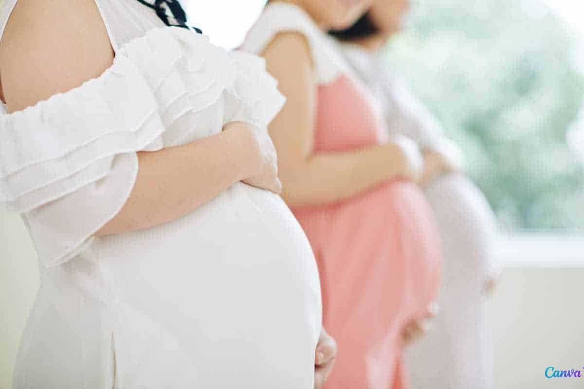 Novo benefício do governo pode ajudar mulheres grávidas – saiba mais