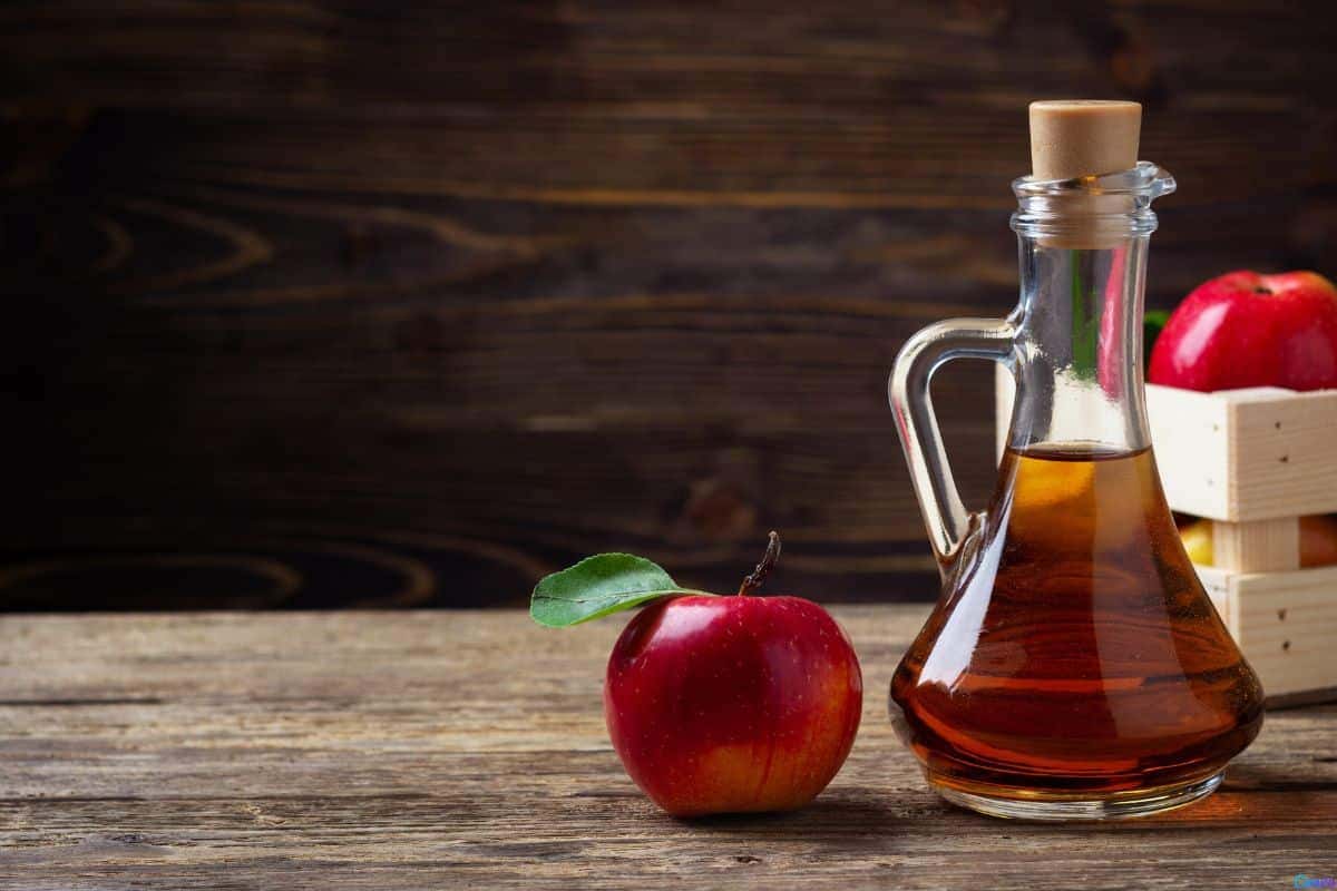 O segredo do vinagre que restaurantes não querem que você descubra: como usar este ingrediente em casa