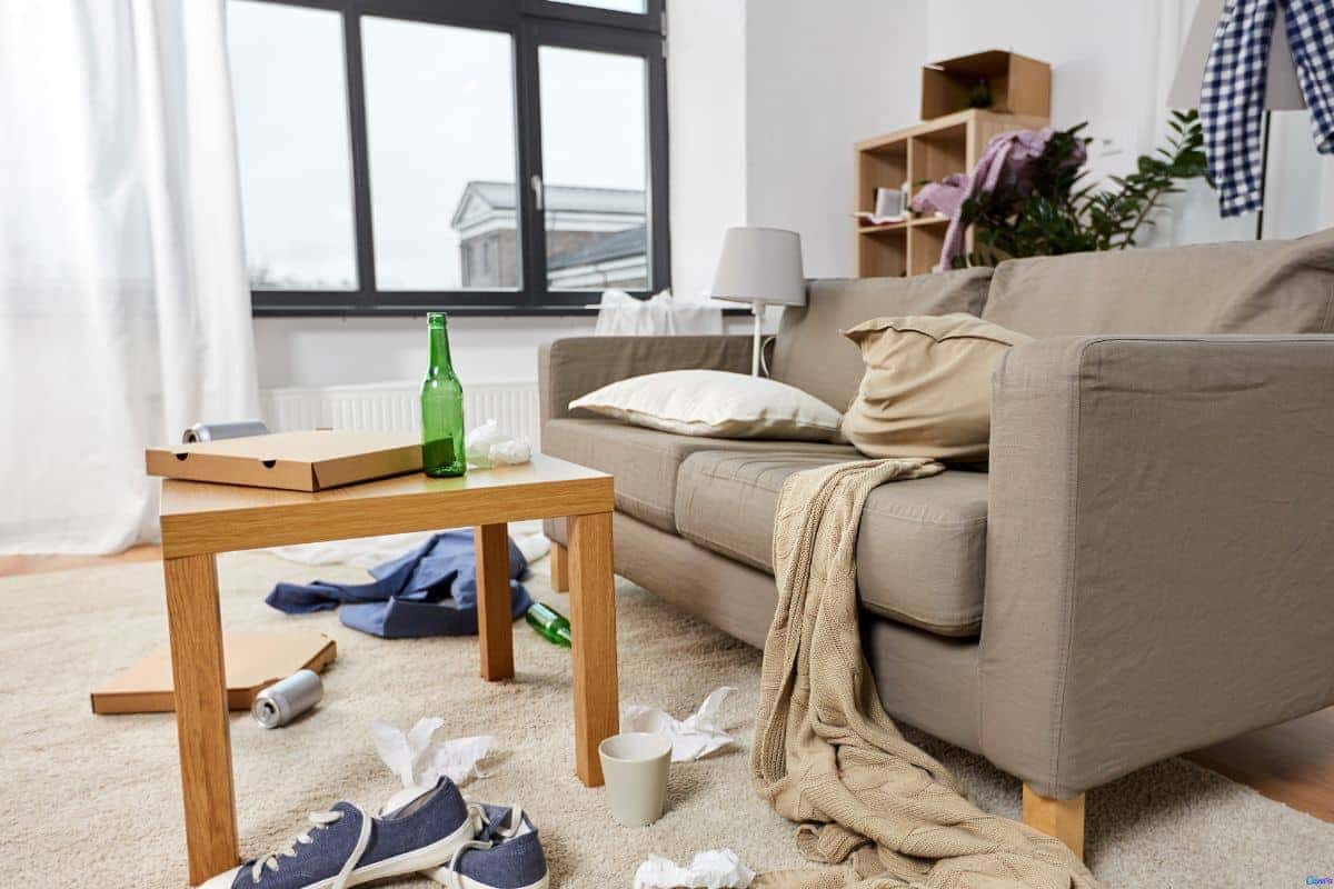 5 dicas para manter a casa sempre cheirosa sem usar produtos caros