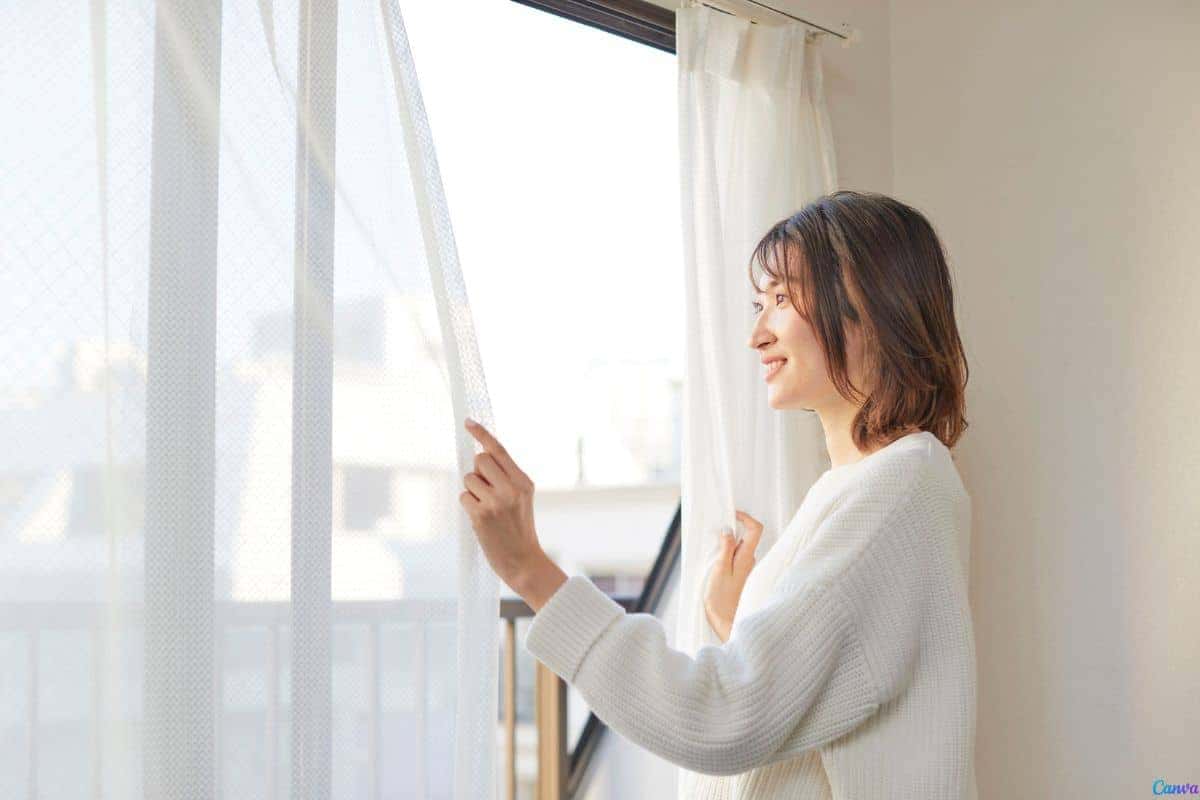 Como desumidificar o ambiente sem precisar de aparelhos caros: métodos simples e econômicos