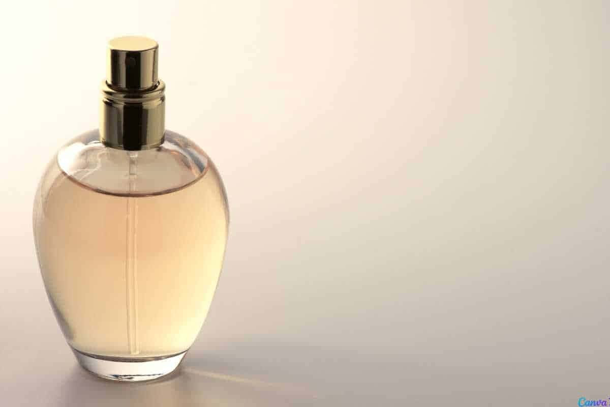 Como identificar, evitar e descartar perfumes vencidos corretamente