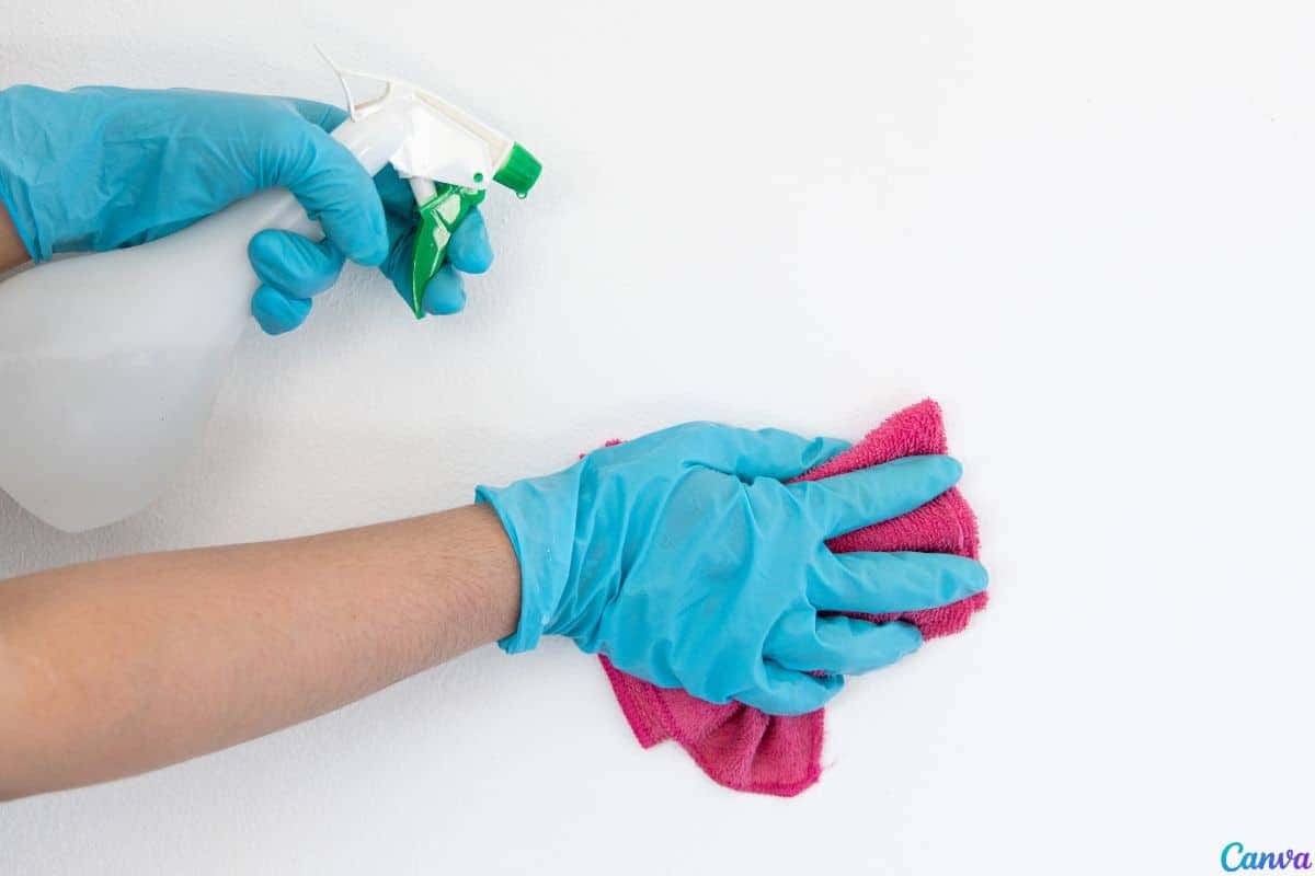 Como limpar paredes encardidas sem estragar a pintura original
