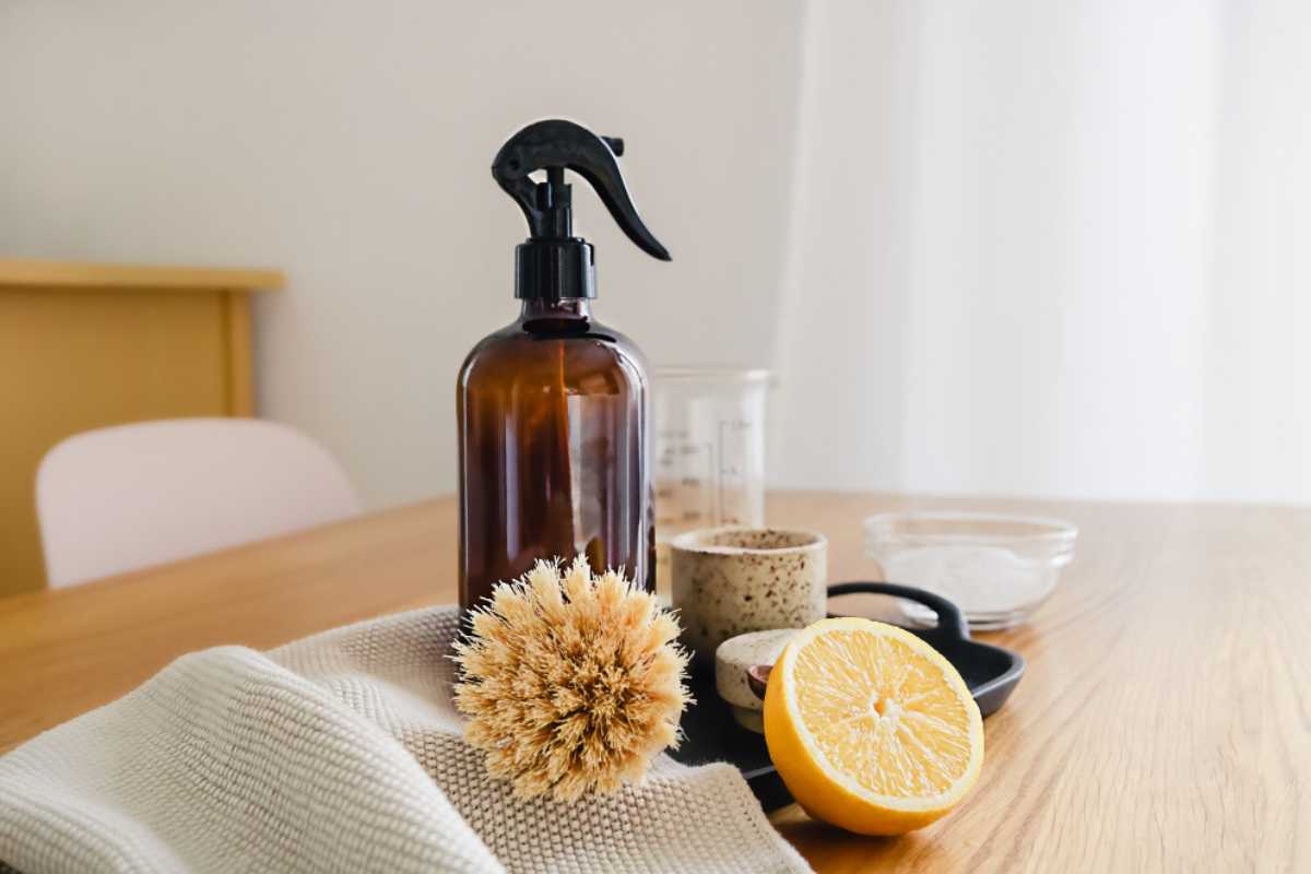 Como manter a casa sempre perfumada sem gastar com aromatizadores caros