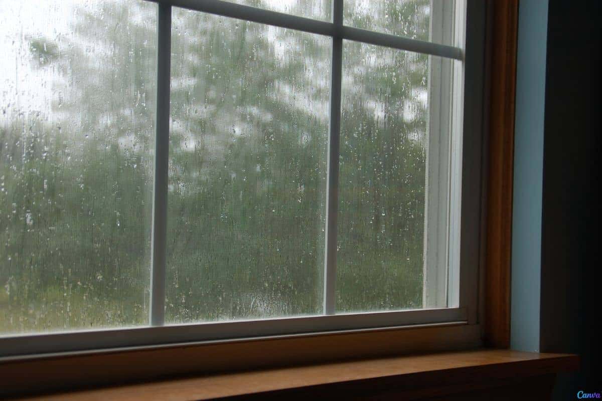 Como manter os vidros da janela limpos mesmo em dias de chuva