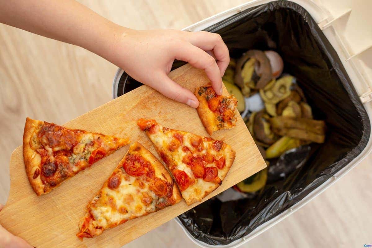 Como reaproveitar sobras de comida e evitar o desperdício: Dicas Eficientes