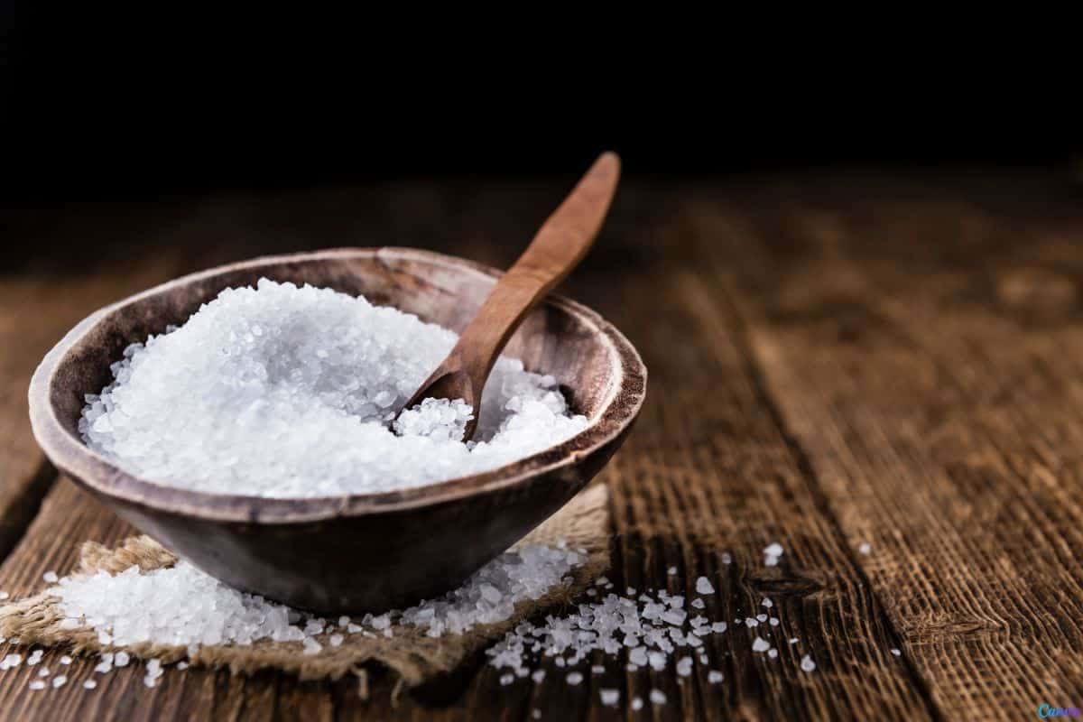 Como usar sal grosso para limpar rejuntes e tirar o encardido