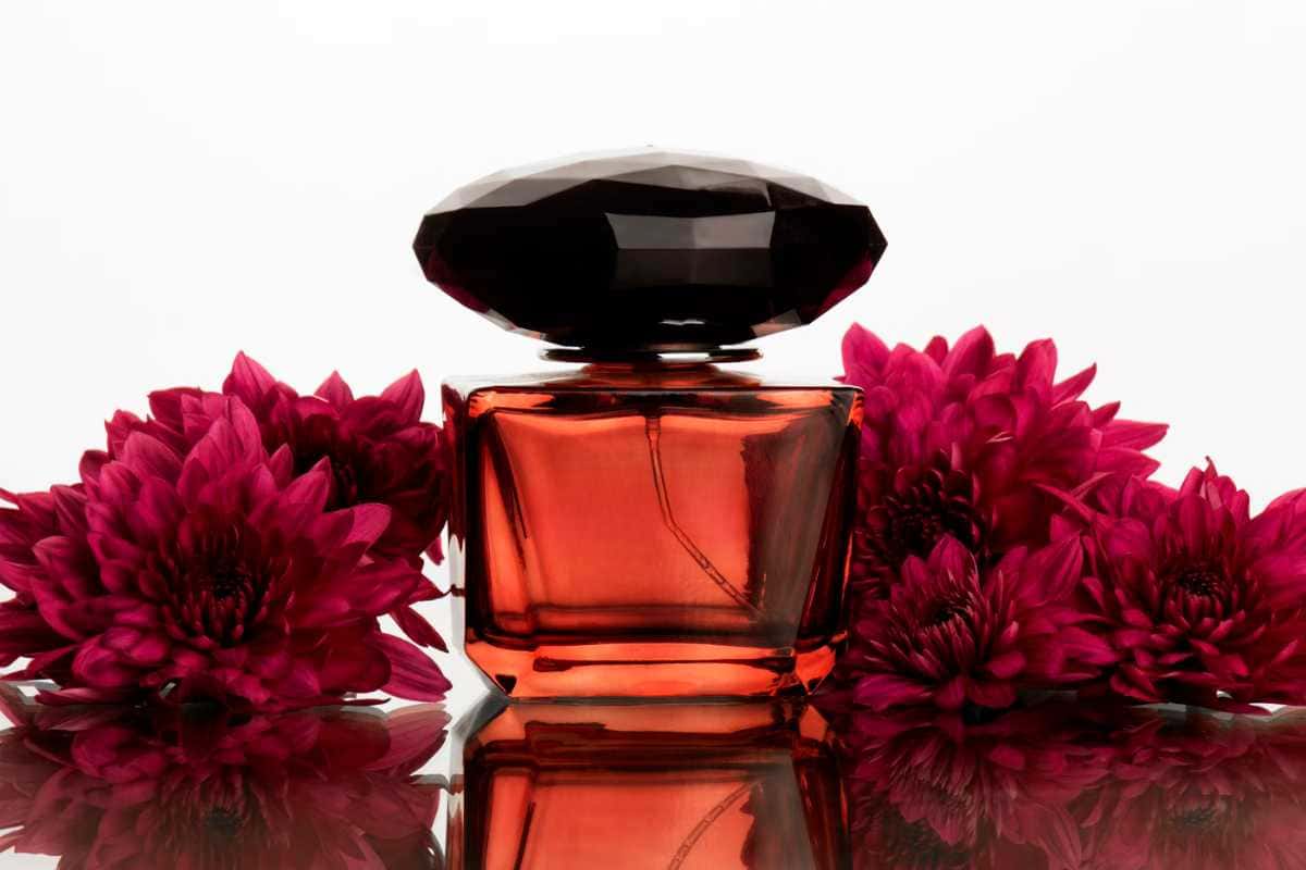Comparação e opinião sobre perfumes: tendências e dicas