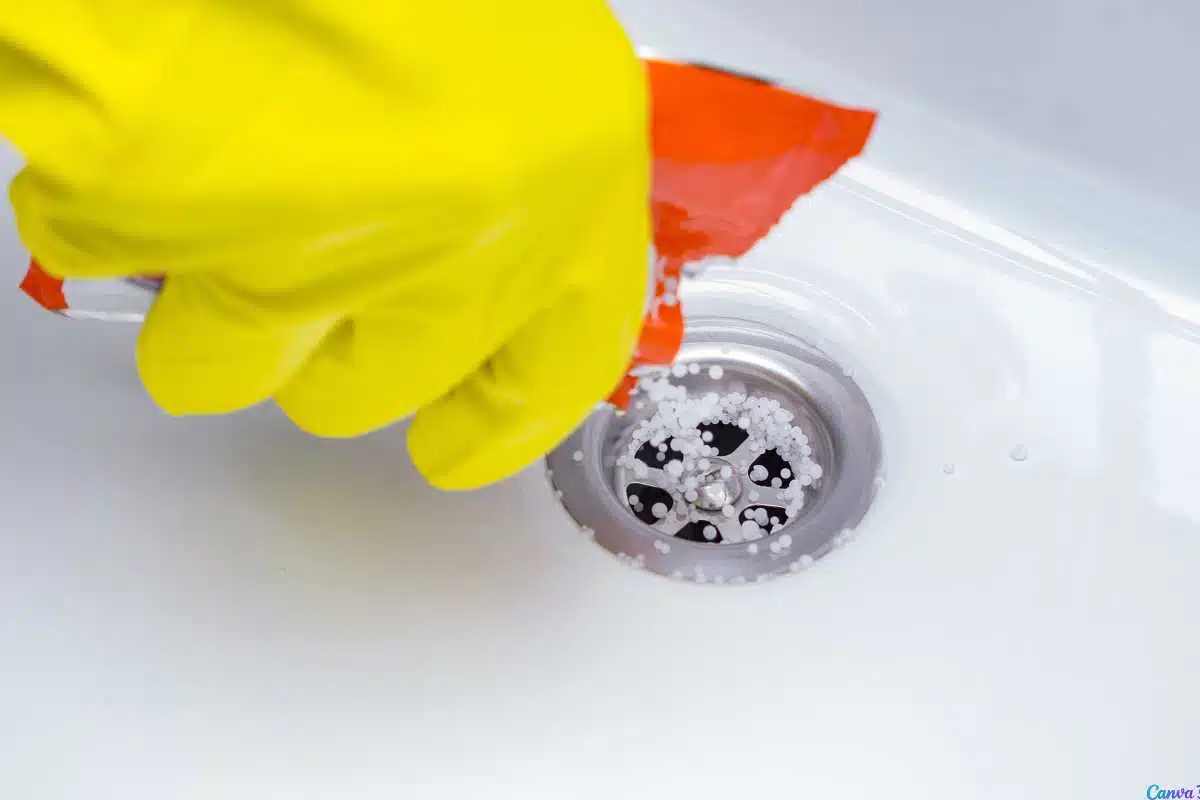 Cuidados e Práticas para a Manutenção dos Ralos