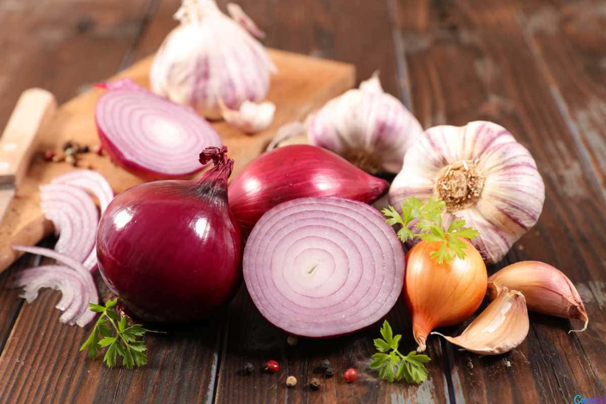 O jeito certo de conservar cebolas frescas por mais tempo na cozinha