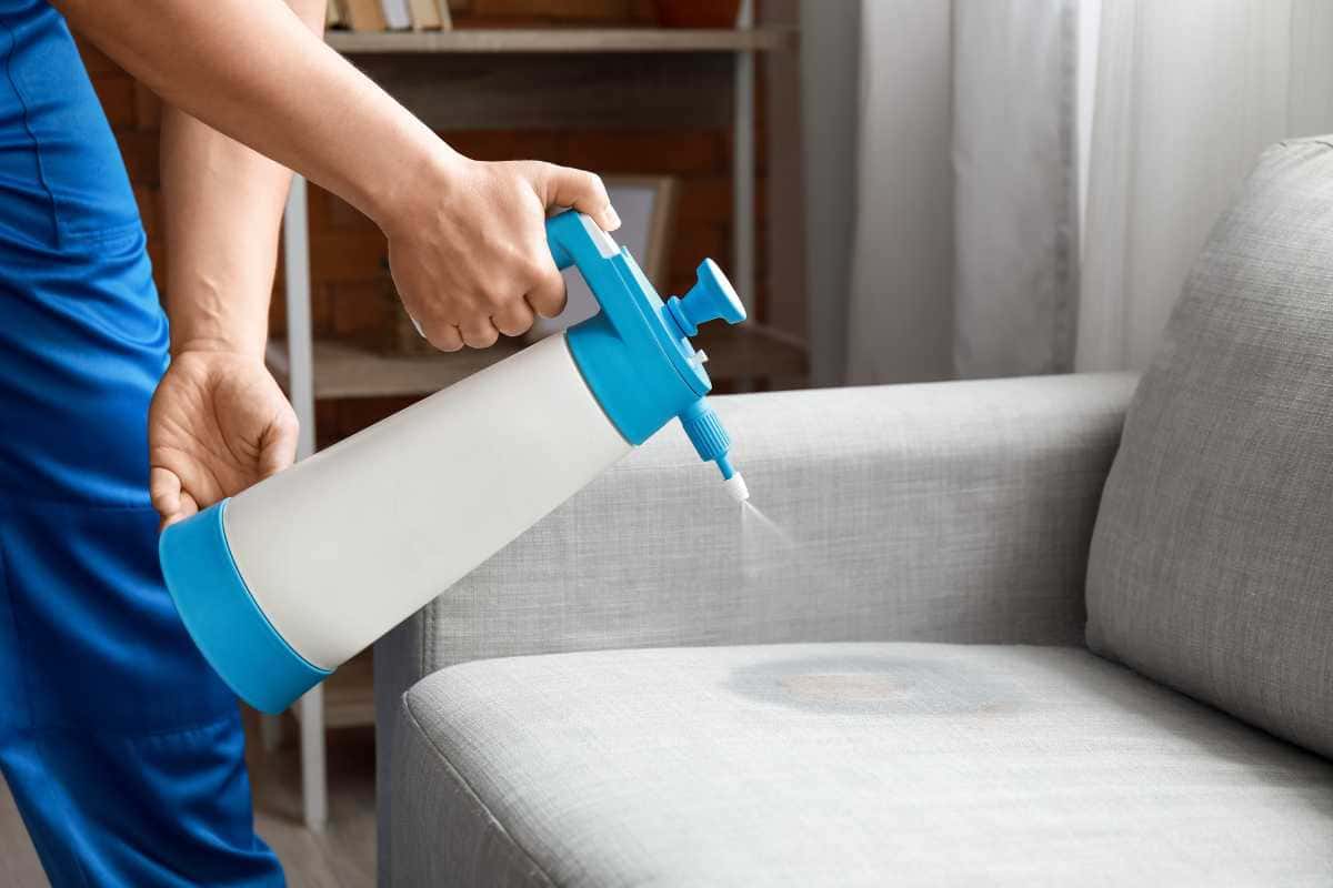 Como usar bicarbonato de jeito certo para limpar o sofá sem manchar