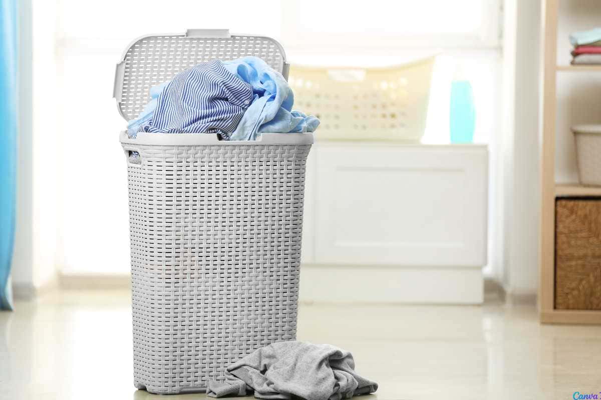 O que colocar no cesto de roupa suja para evitar mofo e maus odores