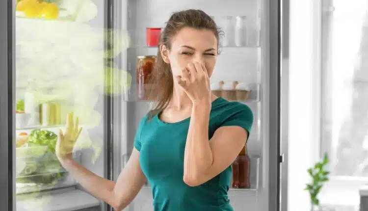 truques simples para evitar cheiro ruim na geladeira sem precisar produtos caros
