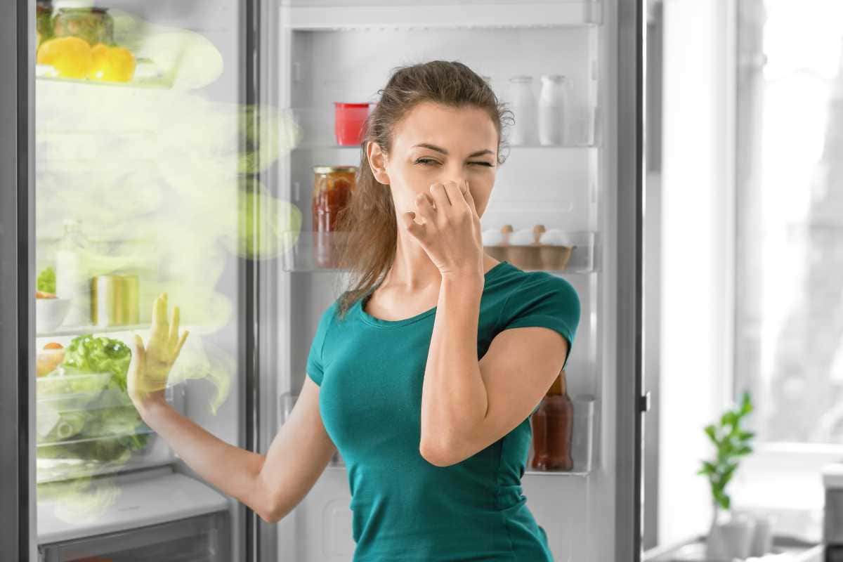 truques simples para evitar cheiro ruim na geladeira sem precisar produtos caros