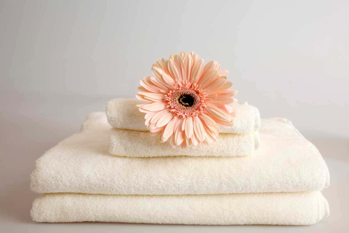 Dicas Avançadas e Soluções para Preservação e Renovação das Toalhas